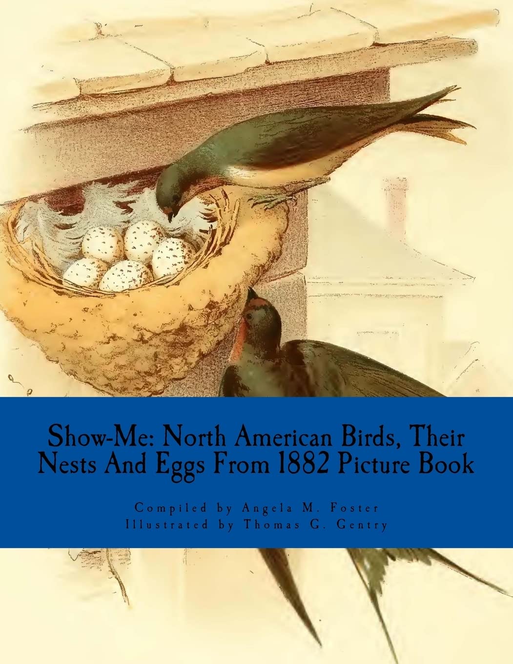 capítulo por capítulo baixar Show-Me: North American Birds, Their Nests And Eggs From 1882 (Picture Book)