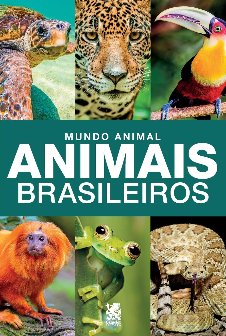 capítulo por capítulo baixar Mundo Animal - Animais Brasileiros: K12