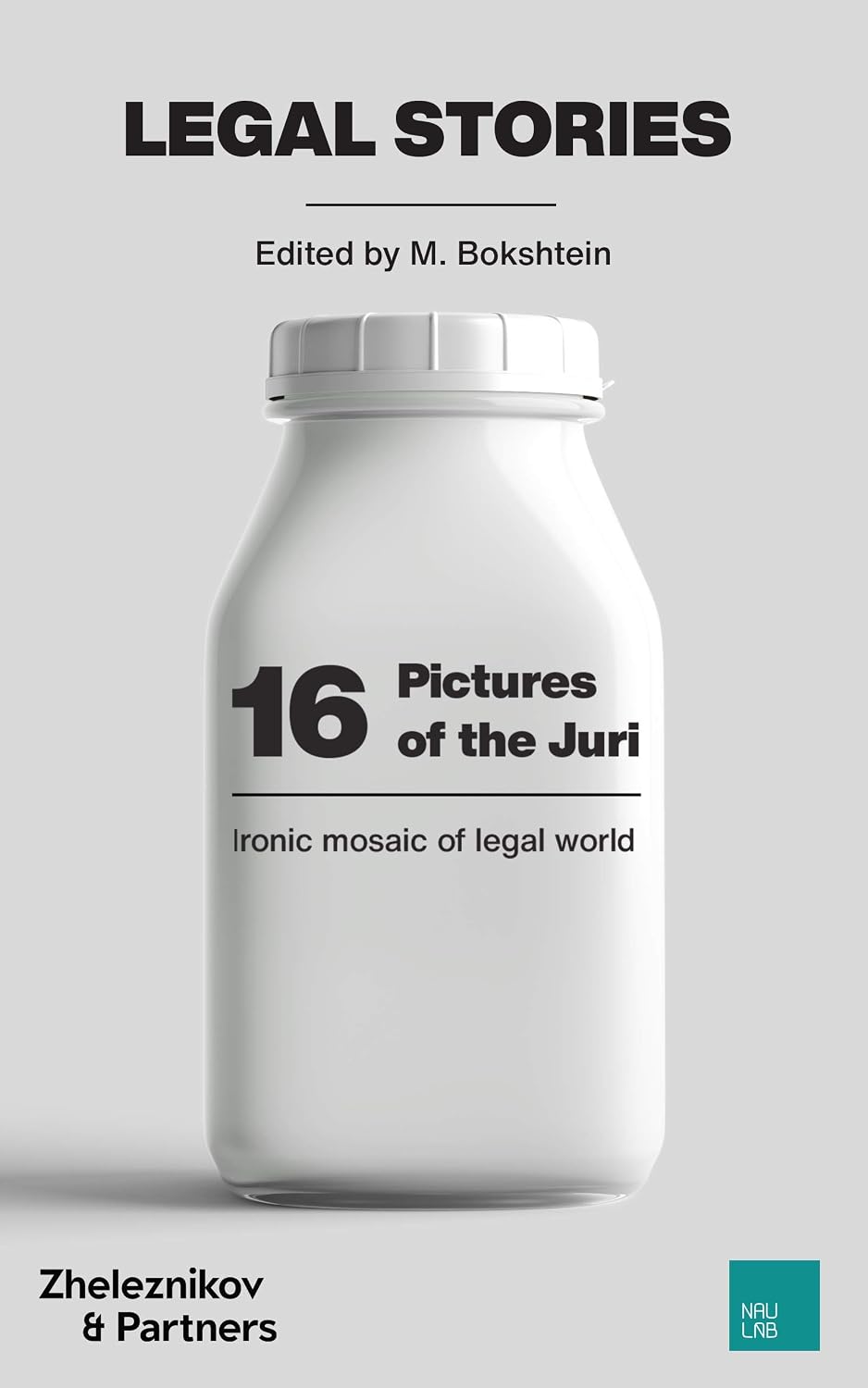 16 Pictures of the Juri: Ironic Mosaic of Legal World (Legal Fiction 1.0 Book 3) (English Edition) baixar livro de graça