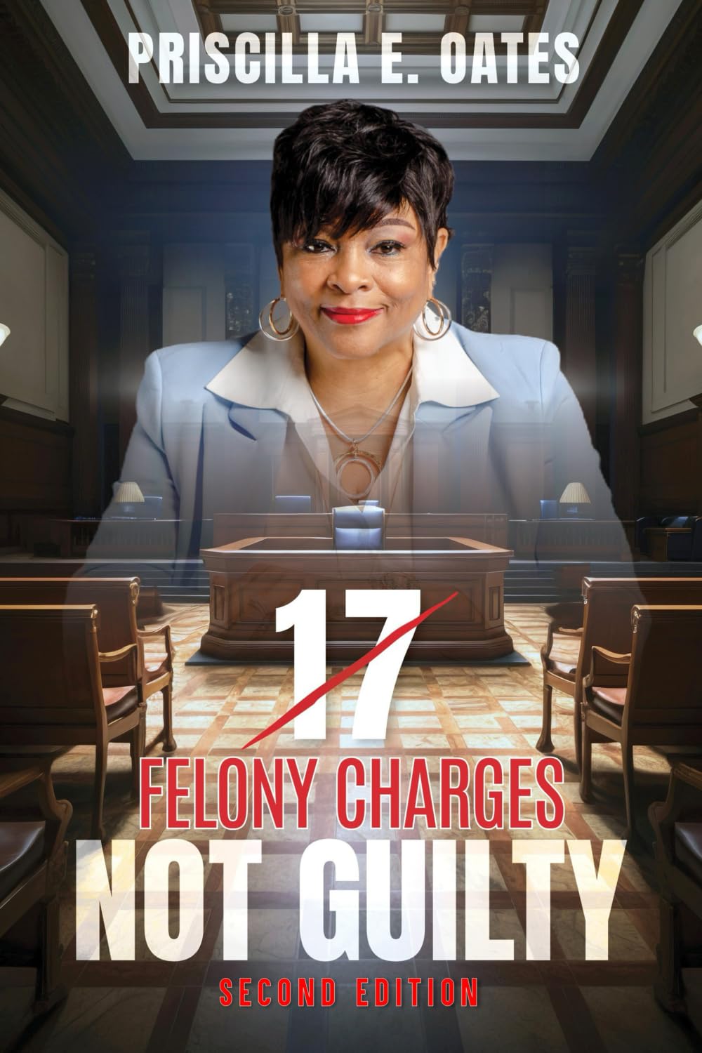 17 Felony Charges: Not Guilty baixar livro de graça