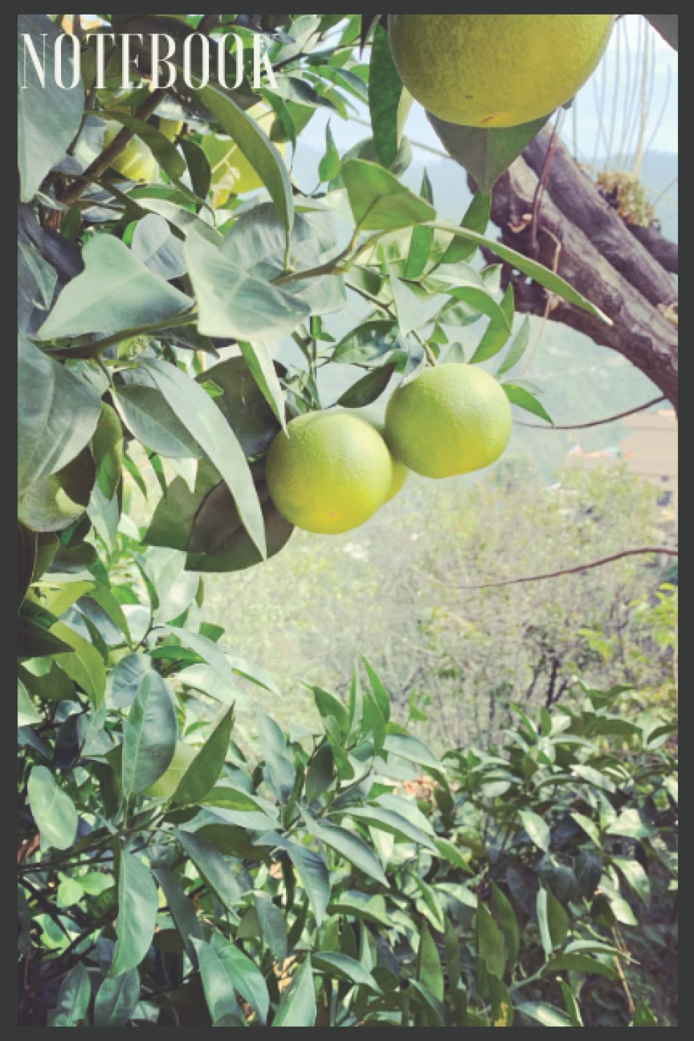 ler totalmente Notebook Nature & fruit style: Notebook for day-to-day small task