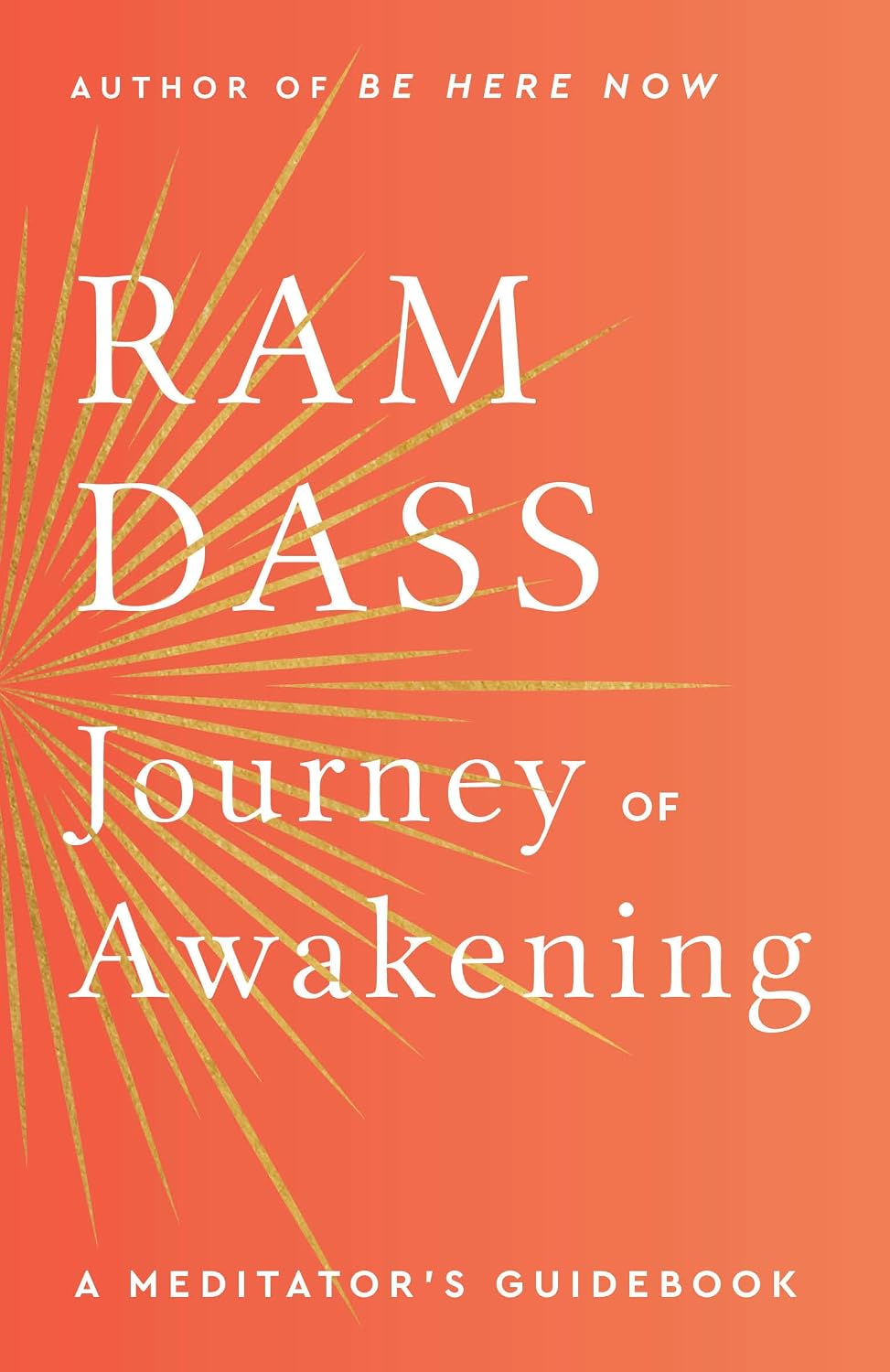 capítulo por capítulo baixar Journey of Awakening: A Meditator's Guidebook (English Edition)