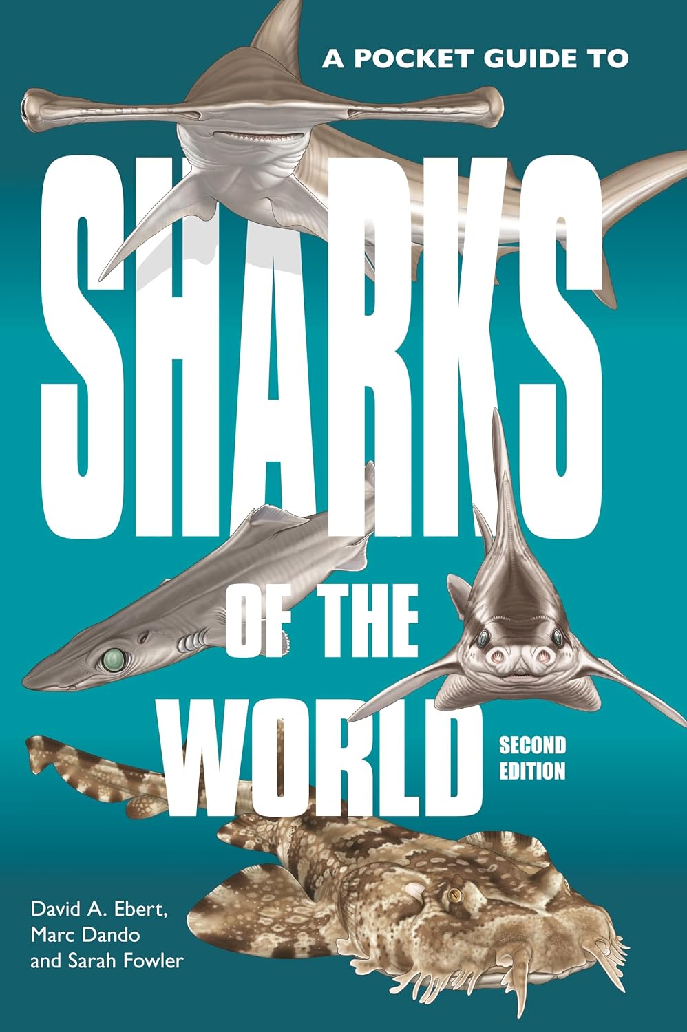 A Pocket Guide to Sharks of the World: Second Edition: 23 baixar livro de graça