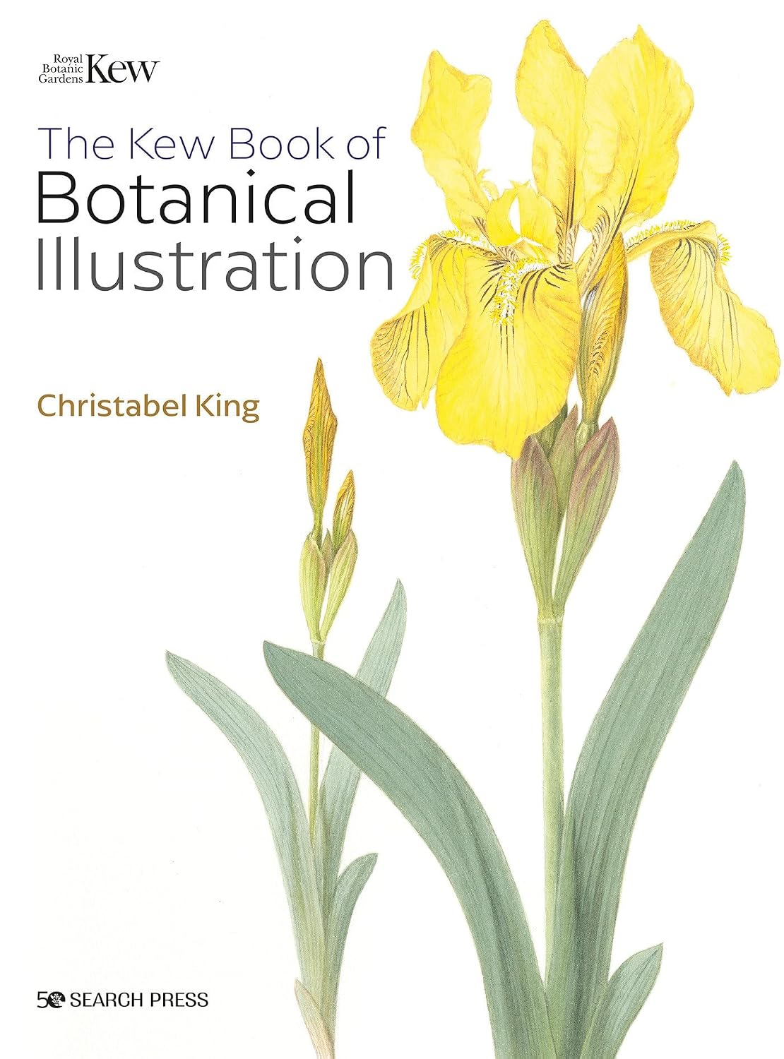 capítulo por capítulo baixar The Kew Book of Botanical Illustration (paperback edition)