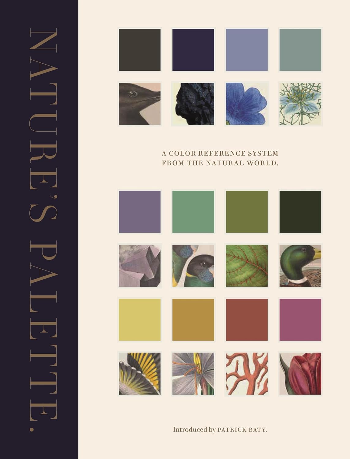 Nature's Palette: A Color Reference System from the Natural World baixar o livro de graça