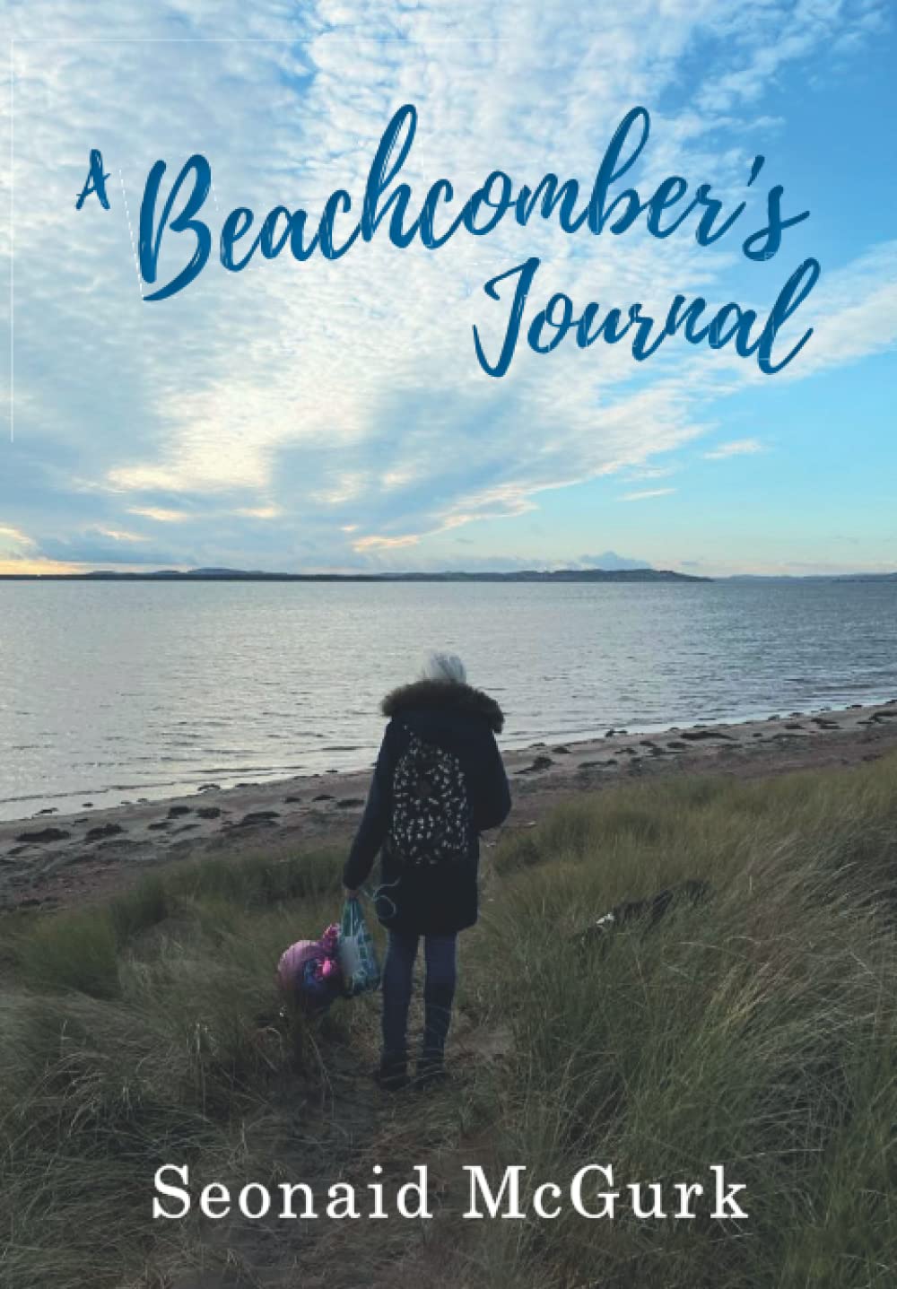 A Beachcomber's Journal baixar livro de graça