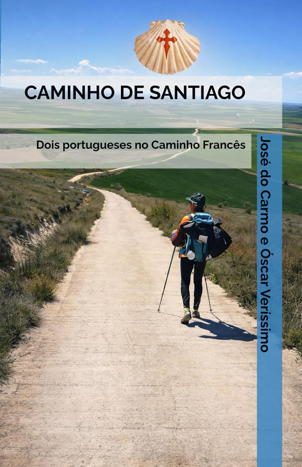 CAMINHO DE SANTIAGO: Dois portugueses no Caminho Francês (Portuguese Edition) baixar o livro de graça