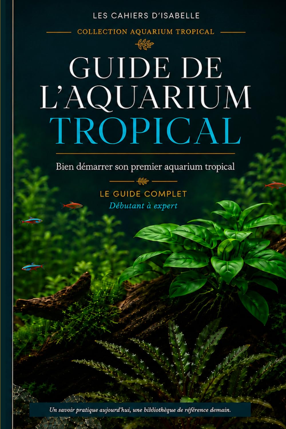 Guide de l’aquarium tropical: Bien démarrer son premier aquarium tropical (Guides Collection Aquarium Tropical) (French Edition) baixar o livro de graça