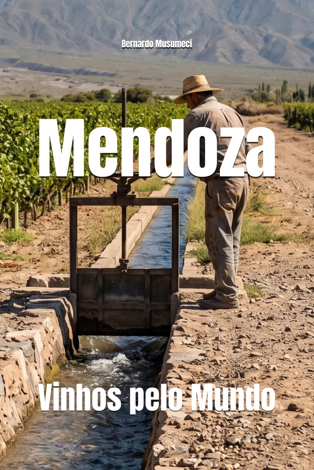 Mendoza: Vinhos pelo Mundo (Wines of the World) (Portuguese Edition) baixar o livro de graça