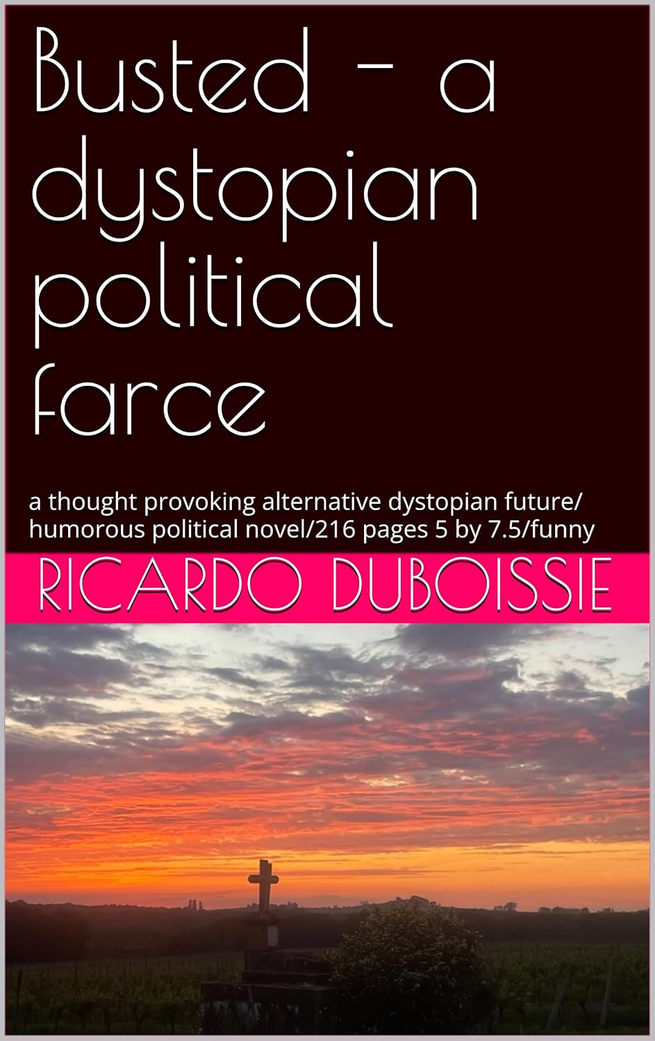 Busted - a dystopian political farce: a thought provoking alternative dystopian future/ humorous political novel/216 pages 5 by 7.5/funny (English Edition) baixar livro de graça