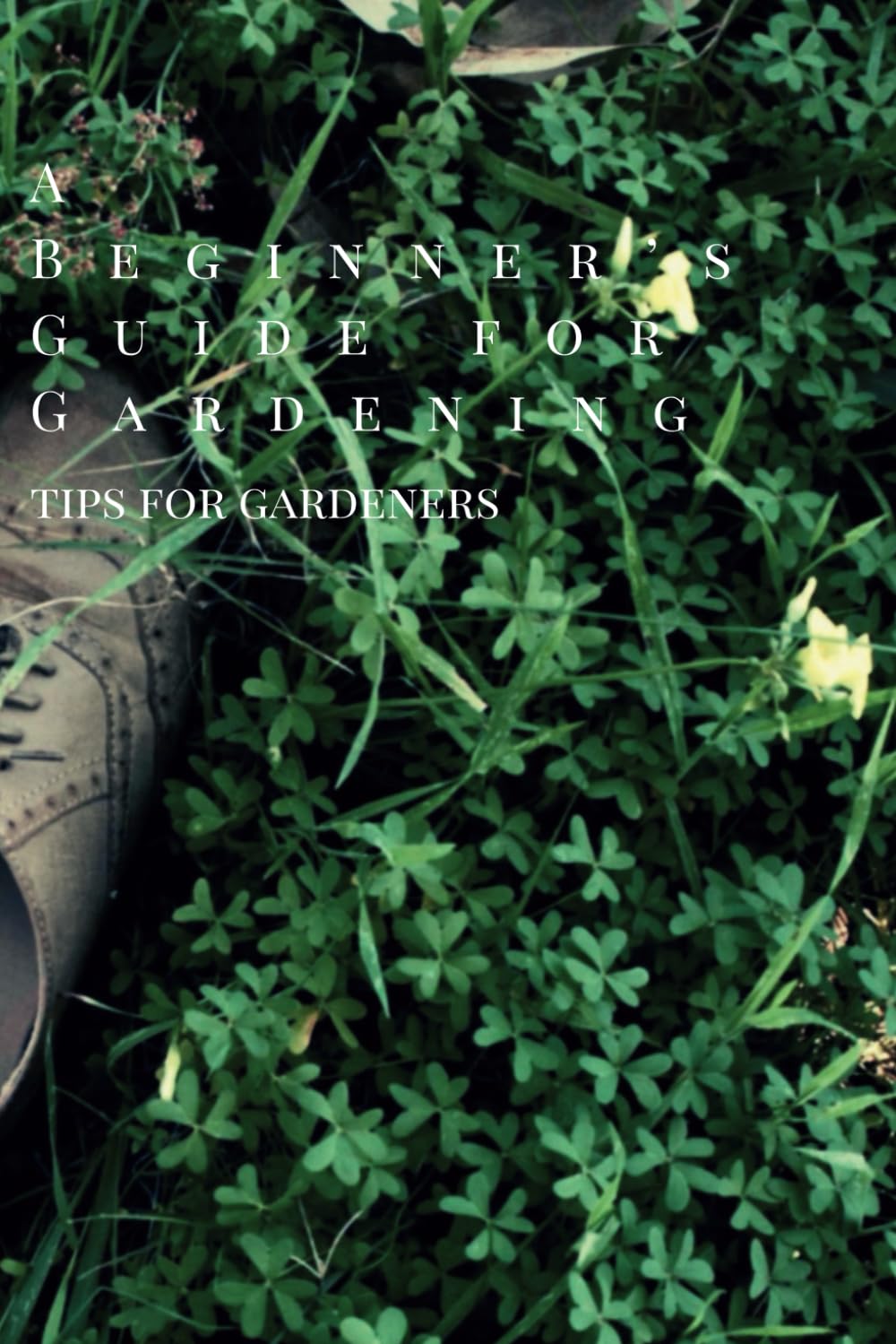 A Beginner's Guide to Gardening: Tips for Gardening baixar o livro de graça