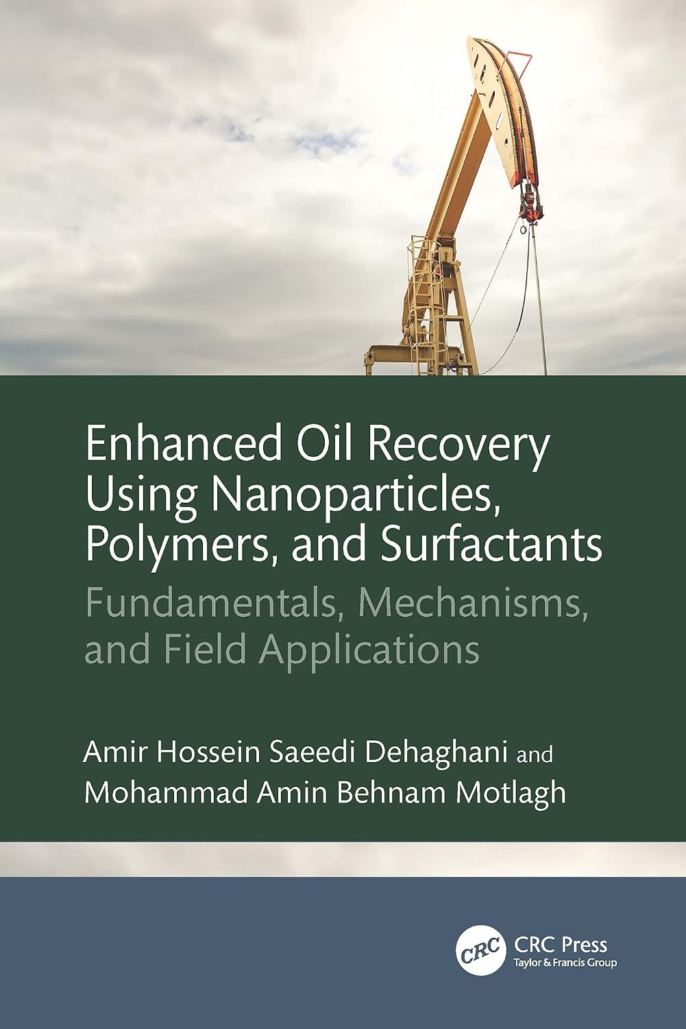 capítulo por capítulo baixar Enhanced Oil Recovery Using Nanoparticles, Polymers, and Surfactants: Fundamentals, Mechanisms, and Field Applications (English Edition)