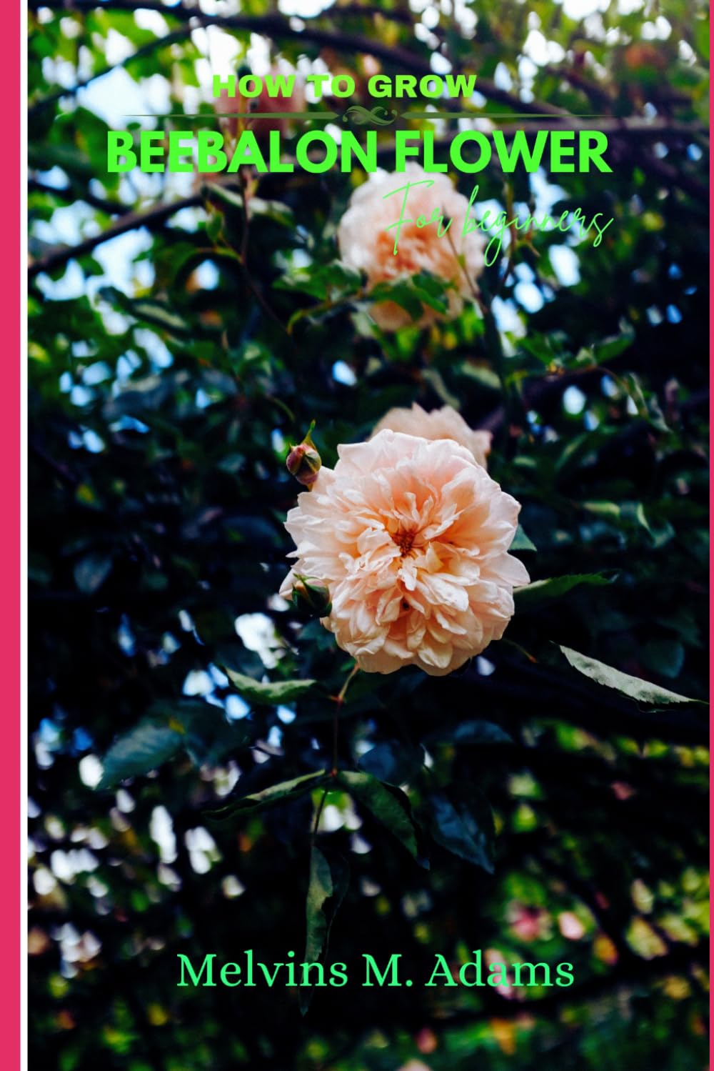 How to grow Beebalon for beginners: The Ultimate Beginner's Guide to Growing, Caring for, and Harvesting Stunning Beebalon at Home and garden baixar o livro de graça