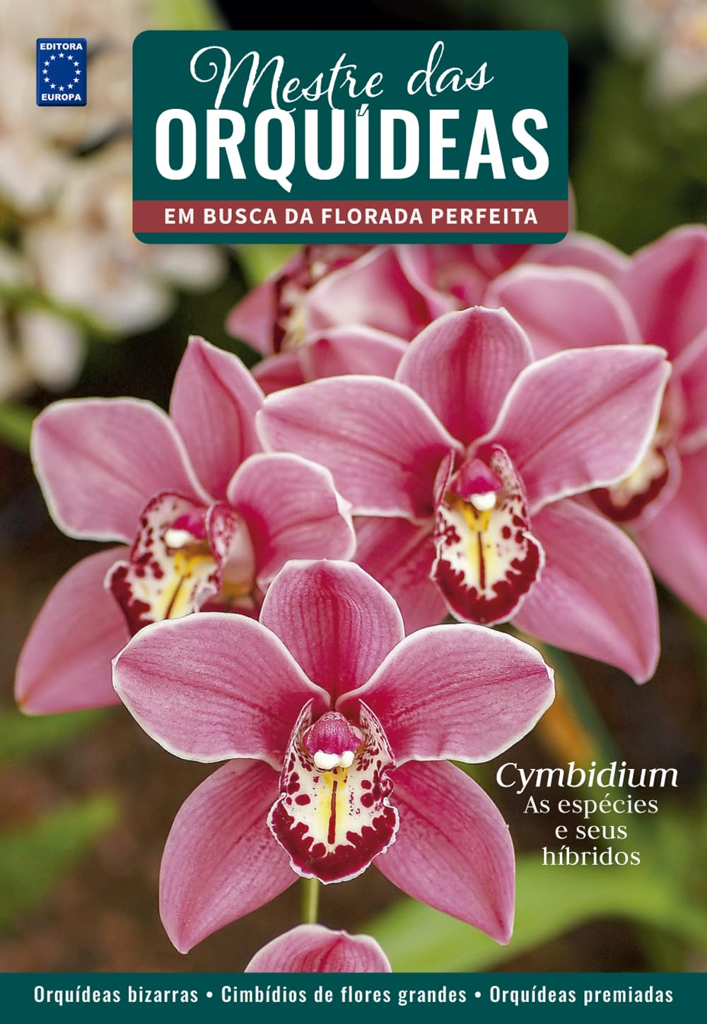 capítulo por capítulo baixar Mestre das Orquídeas - Volume 16: Cymbidium - As espécies e seus híbridos
