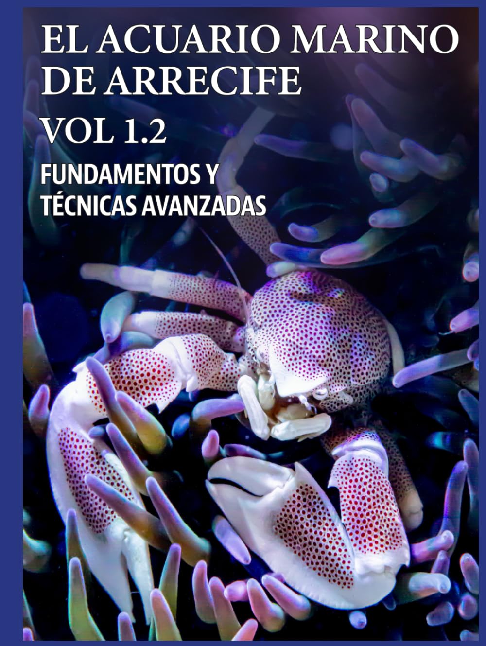 EL ACUARIO MARINO DE ARRECIFE VOL 1.2 (EL ACUARIO MARINO DE ARRECIFE. FUNDAMENTOS Y TÉCNICAS AVANZADAS) (Spanish Edition) baixar o livro de graça