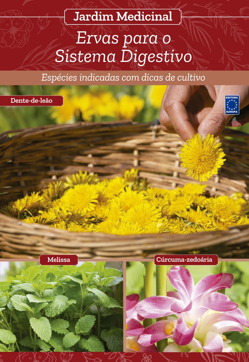 Jardim Medicinal - Volume 5: Ervas para o Sistema Digestivo