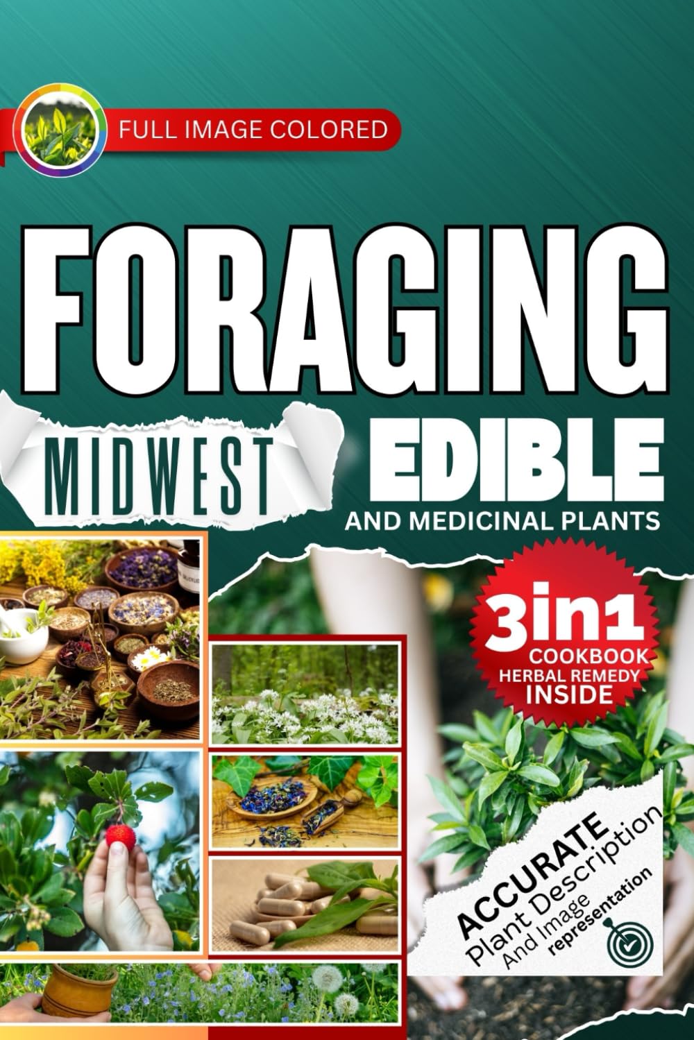 ler totalmente Foraging Midwest Edible and Medicinal Plants: Easiest Guide with In-Depth Profiles on Identifying, Harvesting, and Using Native Wild Plants of the Heartland of United States