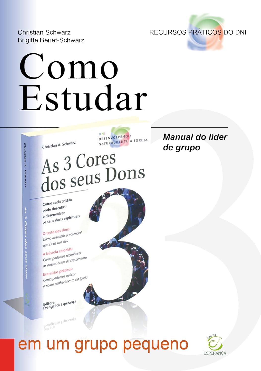Manual do Líder de Grupo Para Ministérios Orientados Pelos Dons: Como Estudar "As 3 Cores dos Seus Dons" em um Grupo Pequeno baixar livro de graça