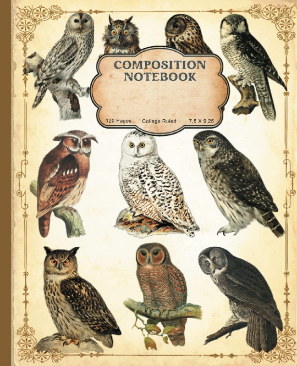 composition college rule notebook: owl composition notebook college ruled with vintage illustration for College, Students, School, Work and Office baixar livro de graça