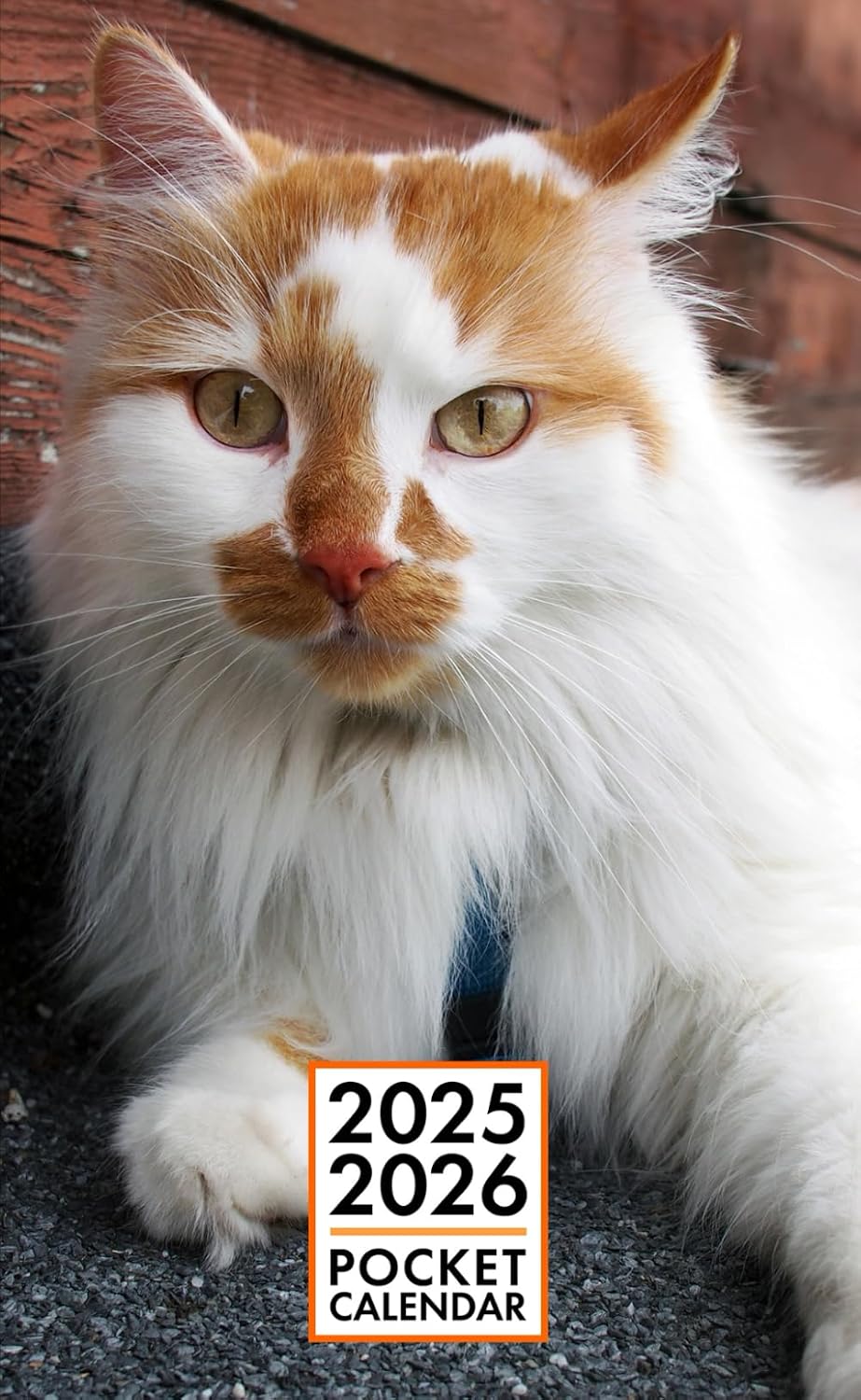 Pocket Calendar 2025-2026 for Purse - Zeus Cat v4 | 2 Year Pocket Planner January 2025 - December 2026 | Small Pocket Size 4 x 6.5 | Sketches of Cats in the Middle baixar livro de graça