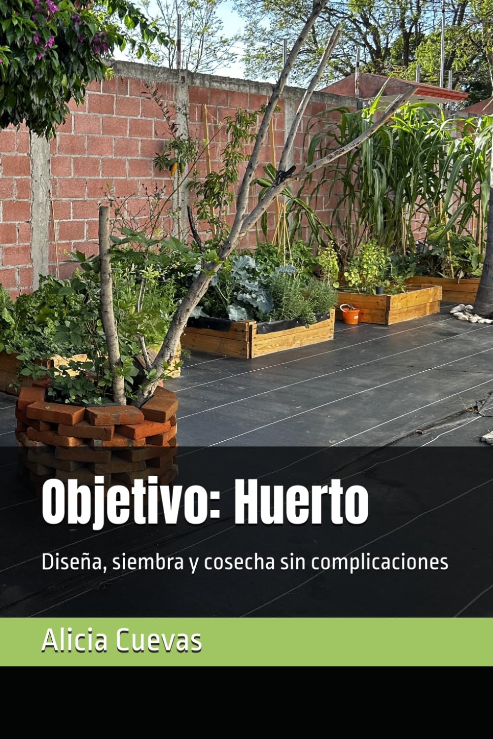 Objetivo: Huerto: Diseña, siembra y cosecha sin complicaciones (Spanish Edition) baixar o livro de graça