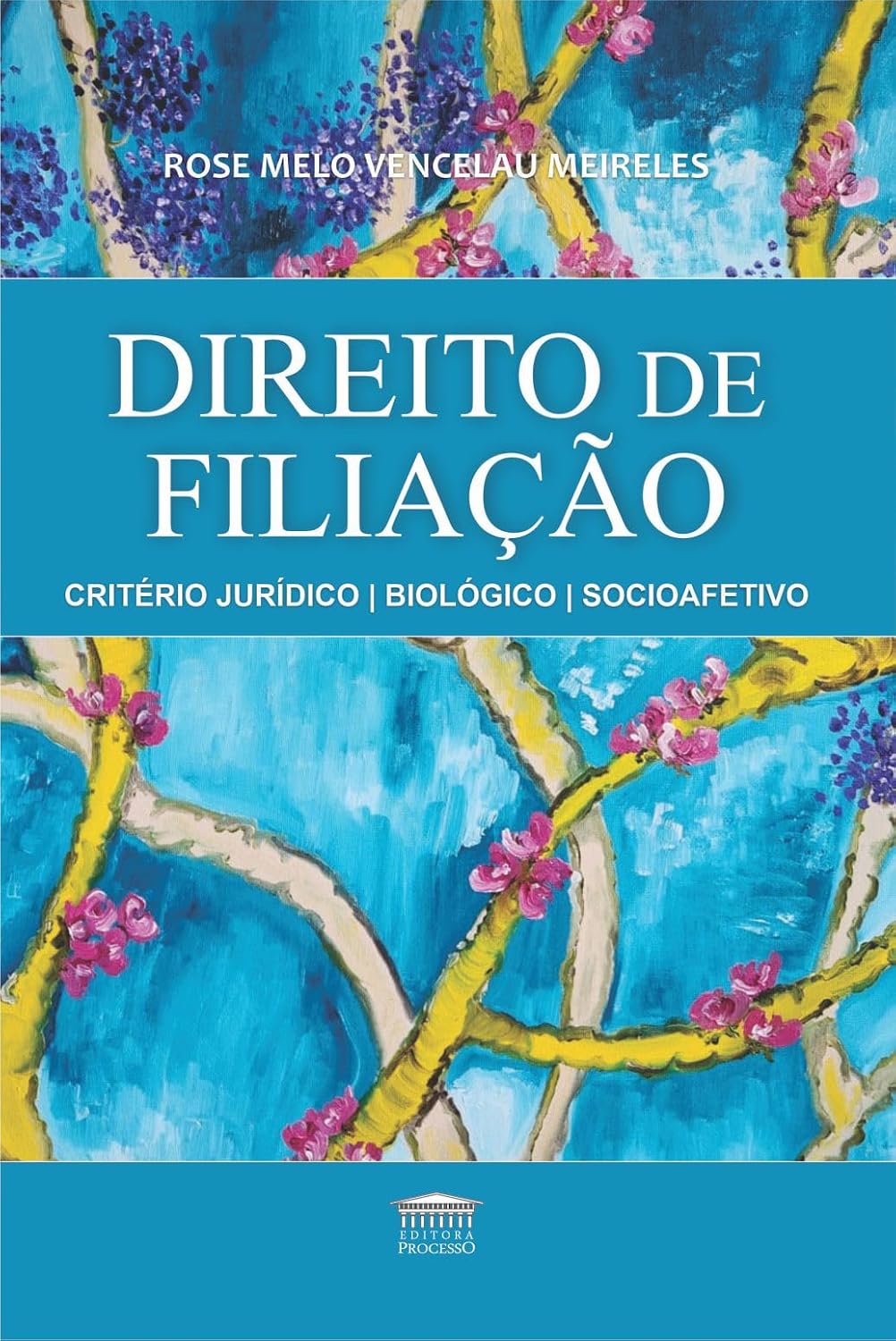 ler totalmente Direito de Filiação - Critério Jurídico - Biológico e Socioafetivo