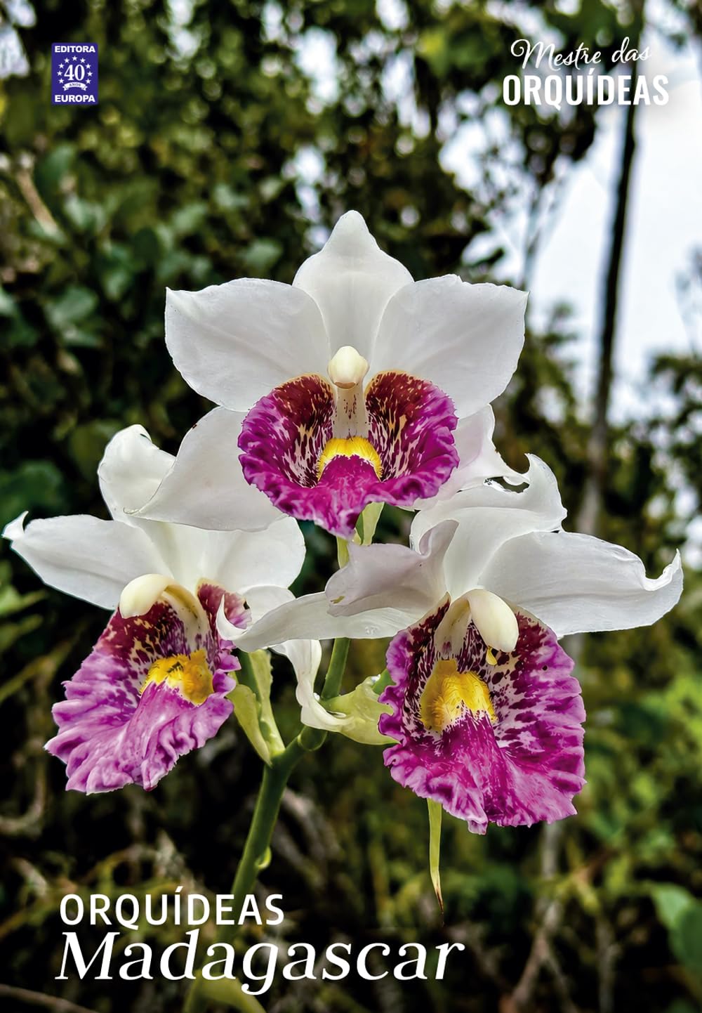 Orquídeas Madagascar - Mestre das Orquídeas - Volume 35 baixar o livro de graça