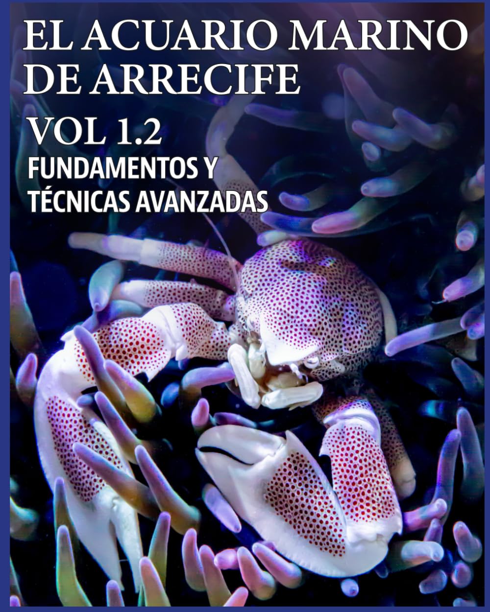 capítulo por capítulo baixar EL ACUARIO MARINO DE ARRECIFE VOL 1.2 (EL ACUARIO MARINO DE ARRECIFE. FUNDAMENTOS Y TÉCNICAS AVANZADAS) (Spanish Edition)