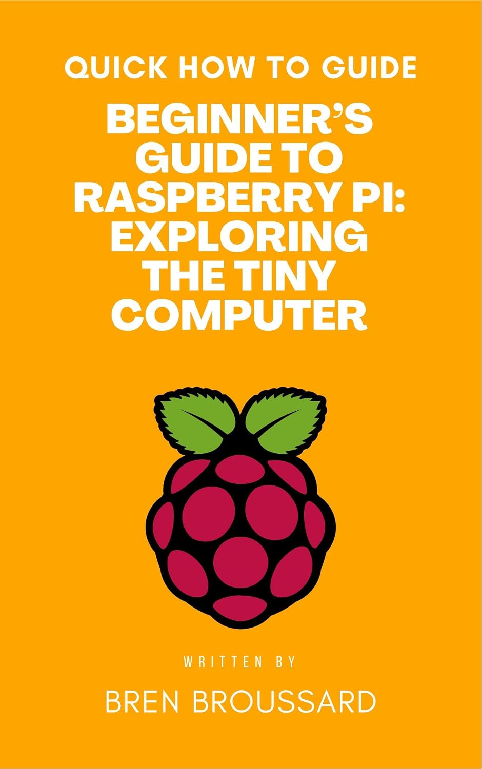 Beginner’s Guide to Raspberry Pi: Exploring the Tiny Computer: Quick How to Guide Series (English Edition) baixar livro de graça