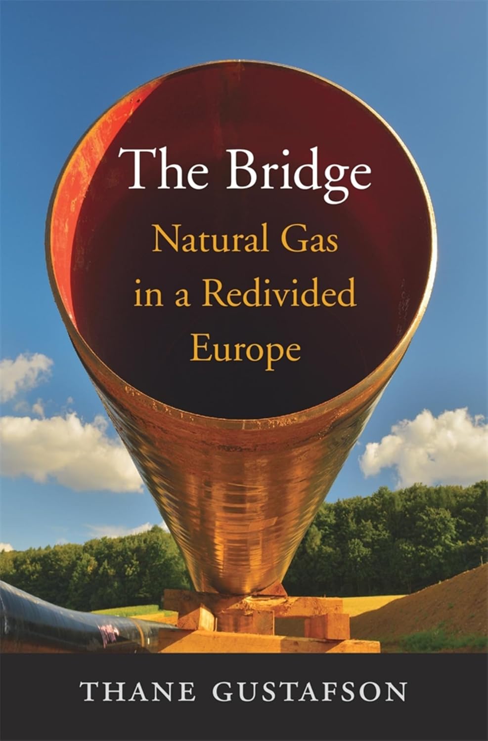The Bridge: Natural Gas in a Redivided Europe (English Edition)