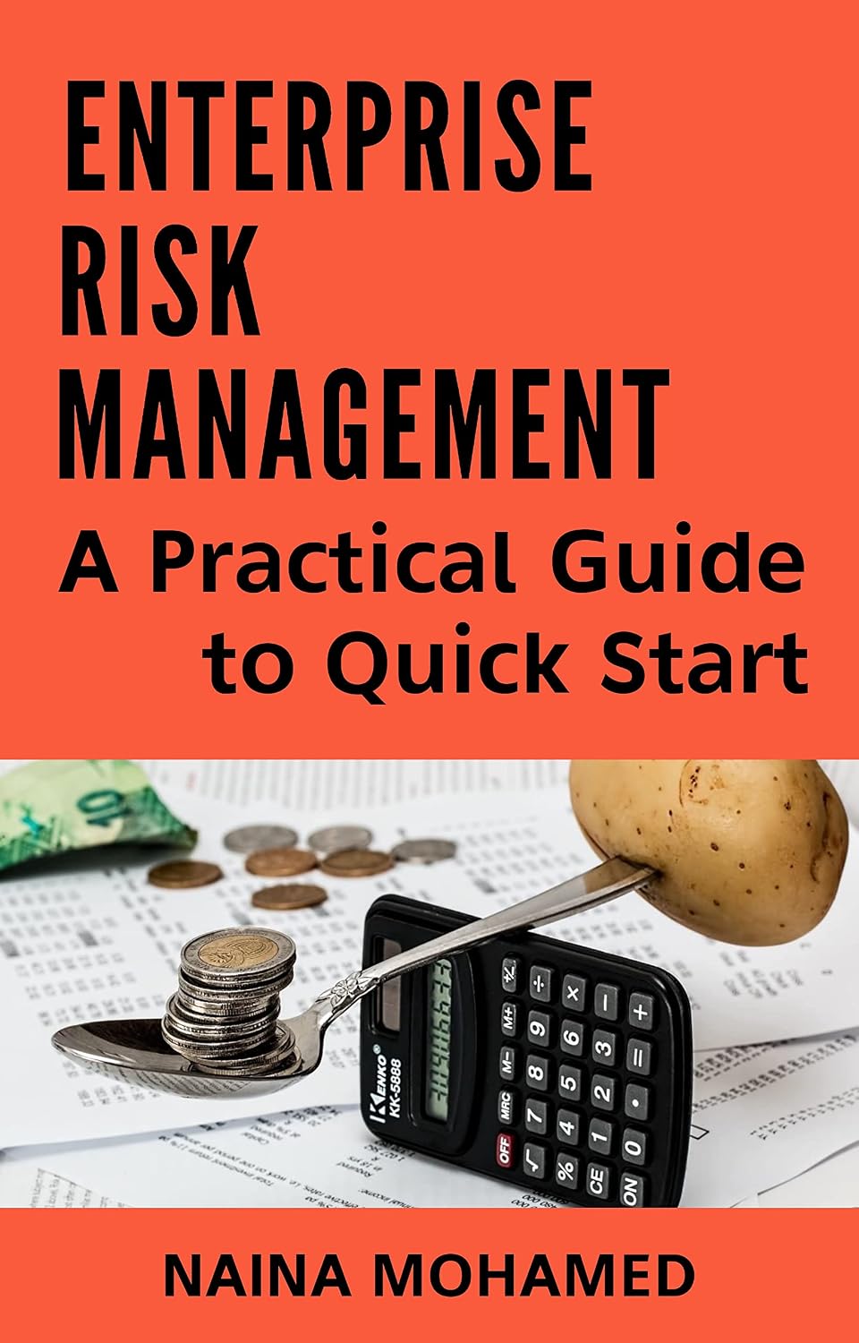 Enterprise Risk Management: A Practical Guide to Quick Start (English Edition) baixar livro de graça