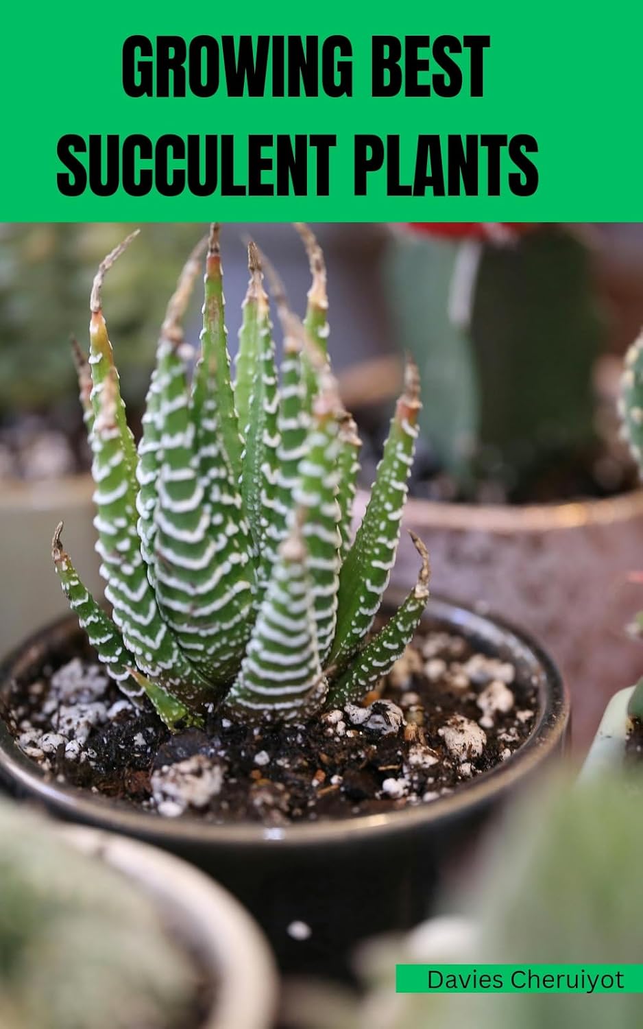 GROWING BEST SUCCULENT PLANTS (Succulents) (English Edition) baixar o livro de graça