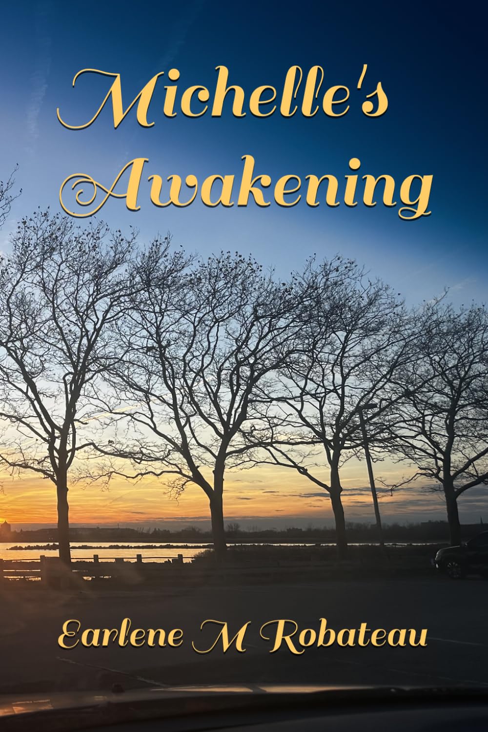 Michelle's Awakening baixar o livro de graça