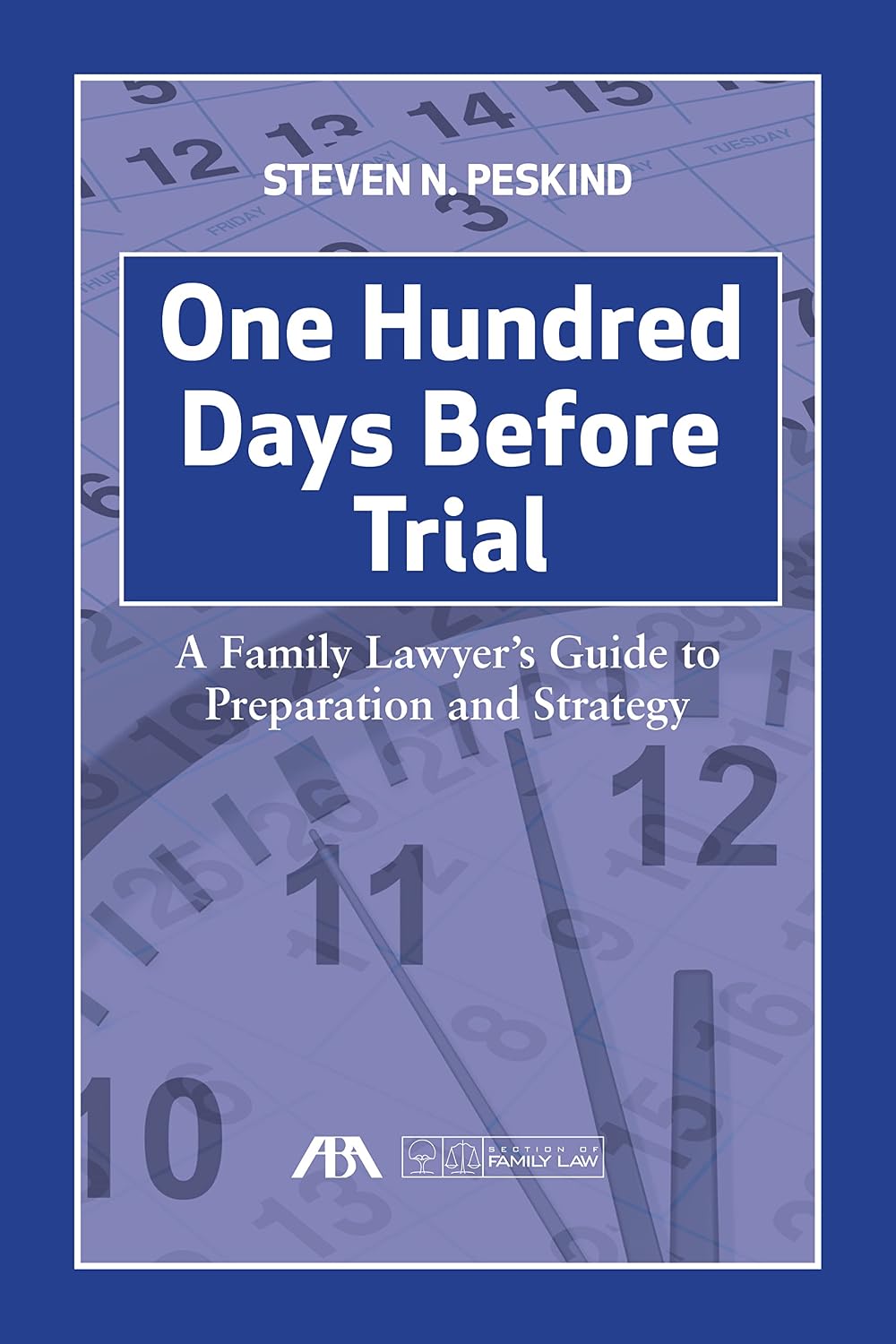 One Hundred Days Before Trial: A Family Lawyer's Guide to Preparation and Strategy (English Edition)