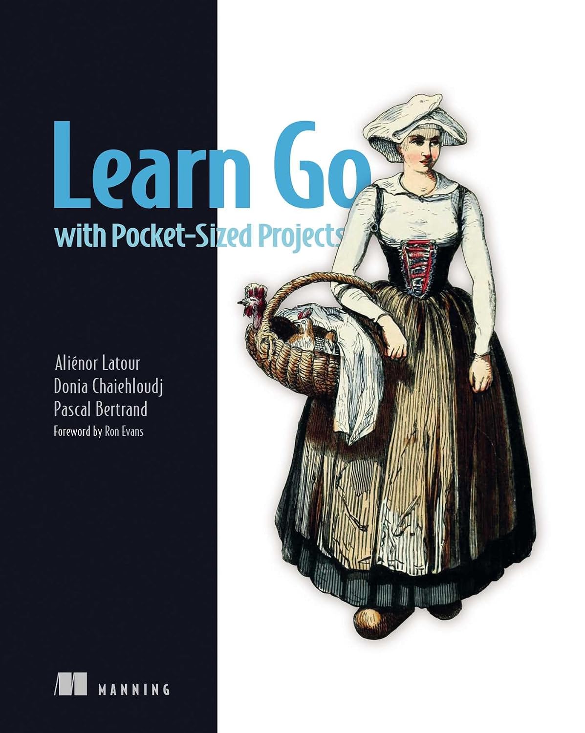 Learn Go with Pocket-Sized Projects baixar o livro de graça