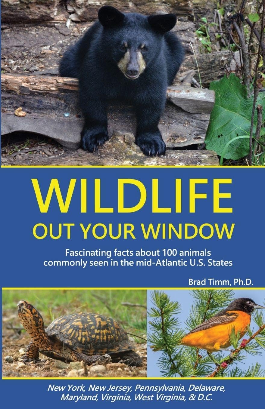 capítulo por capítulo baixar Wildlife Out Your Window: Fascinating Facts about 100 Animals Commonly Seen in the mid-Atlantic U.S. States