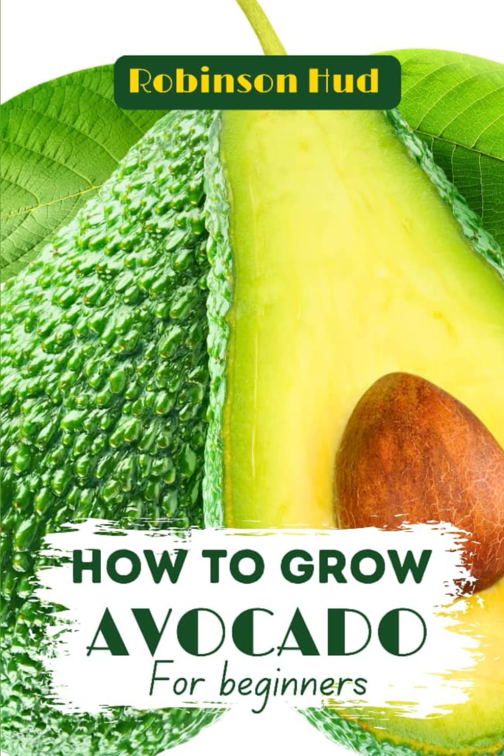 ler totalmente HOW TO GROW AVOCADO FOR BEGINNERS: Growing, harvesting and everything you need to know for a successful gardening