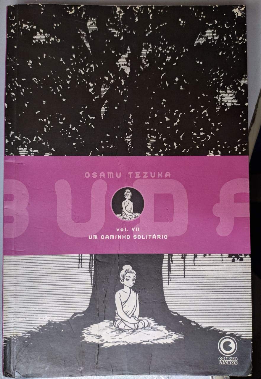 Buda. Um Caminho Solitario - Volume VII baixar livro de graça