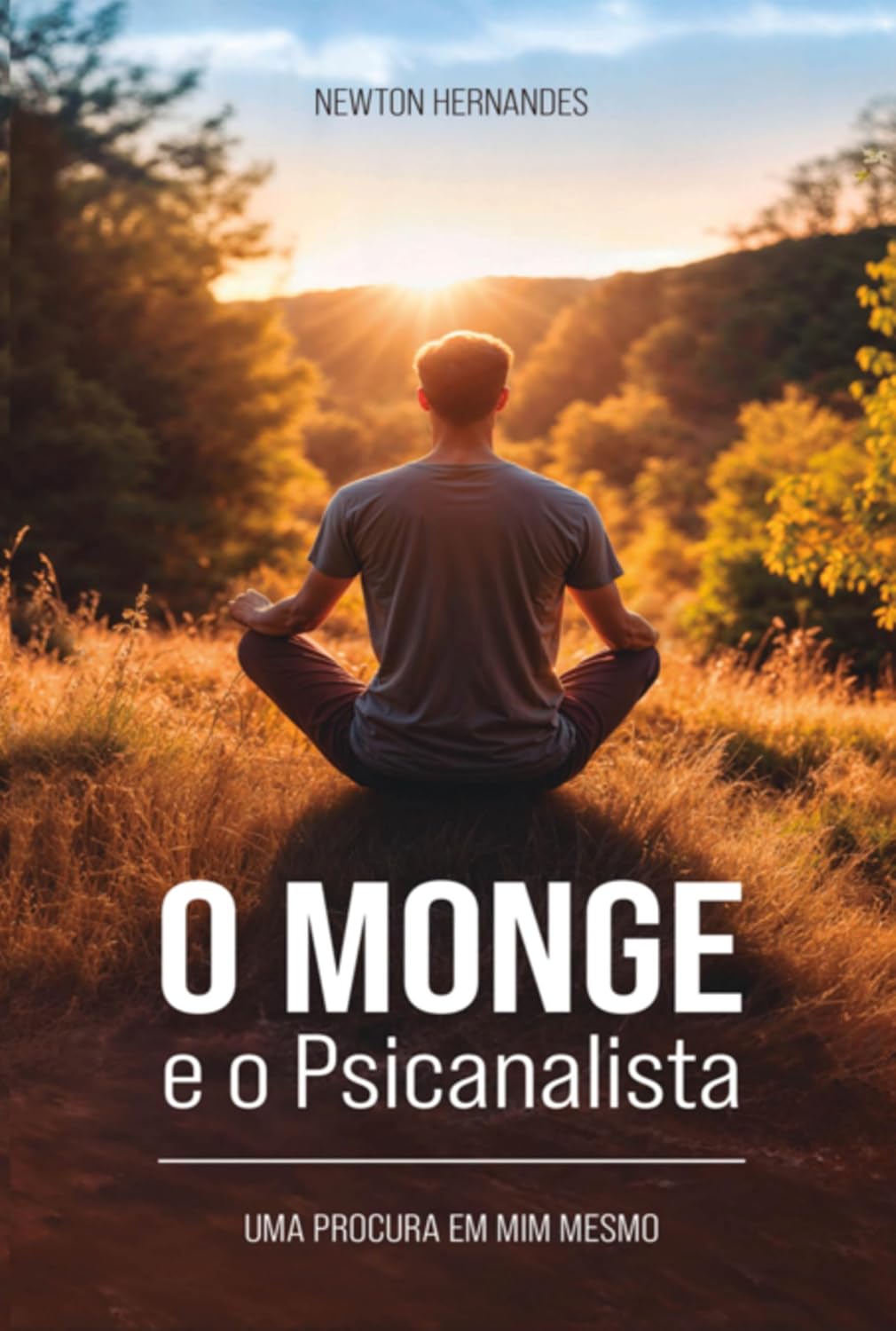 O Monge E O Psicanalista baixar livro de graça