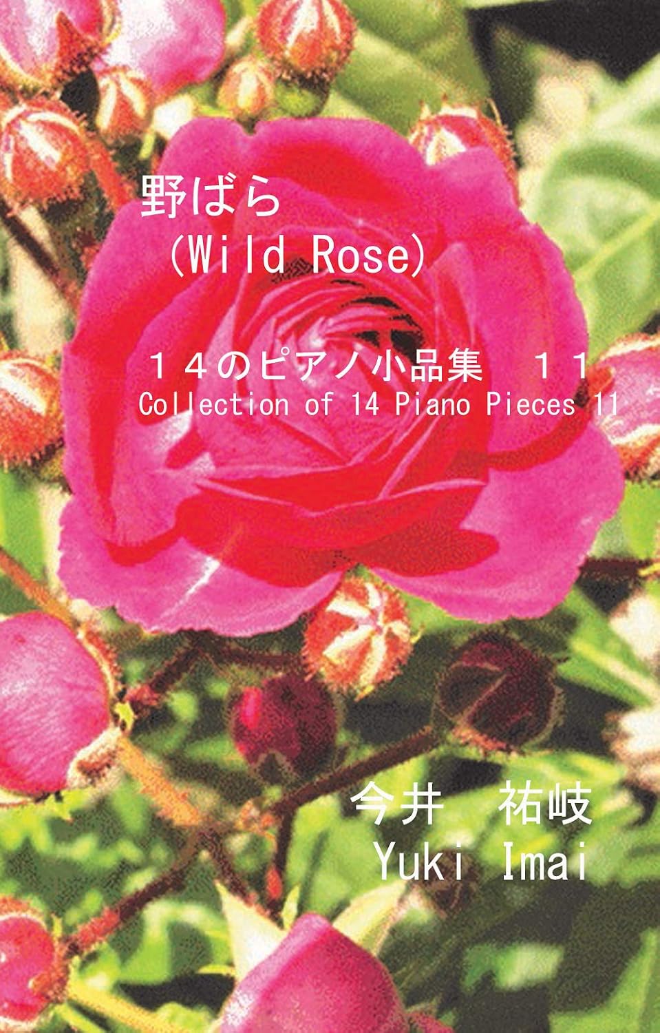 ler totalmente 野ばら: １４のピアノ小品集　１１ (English Edition)