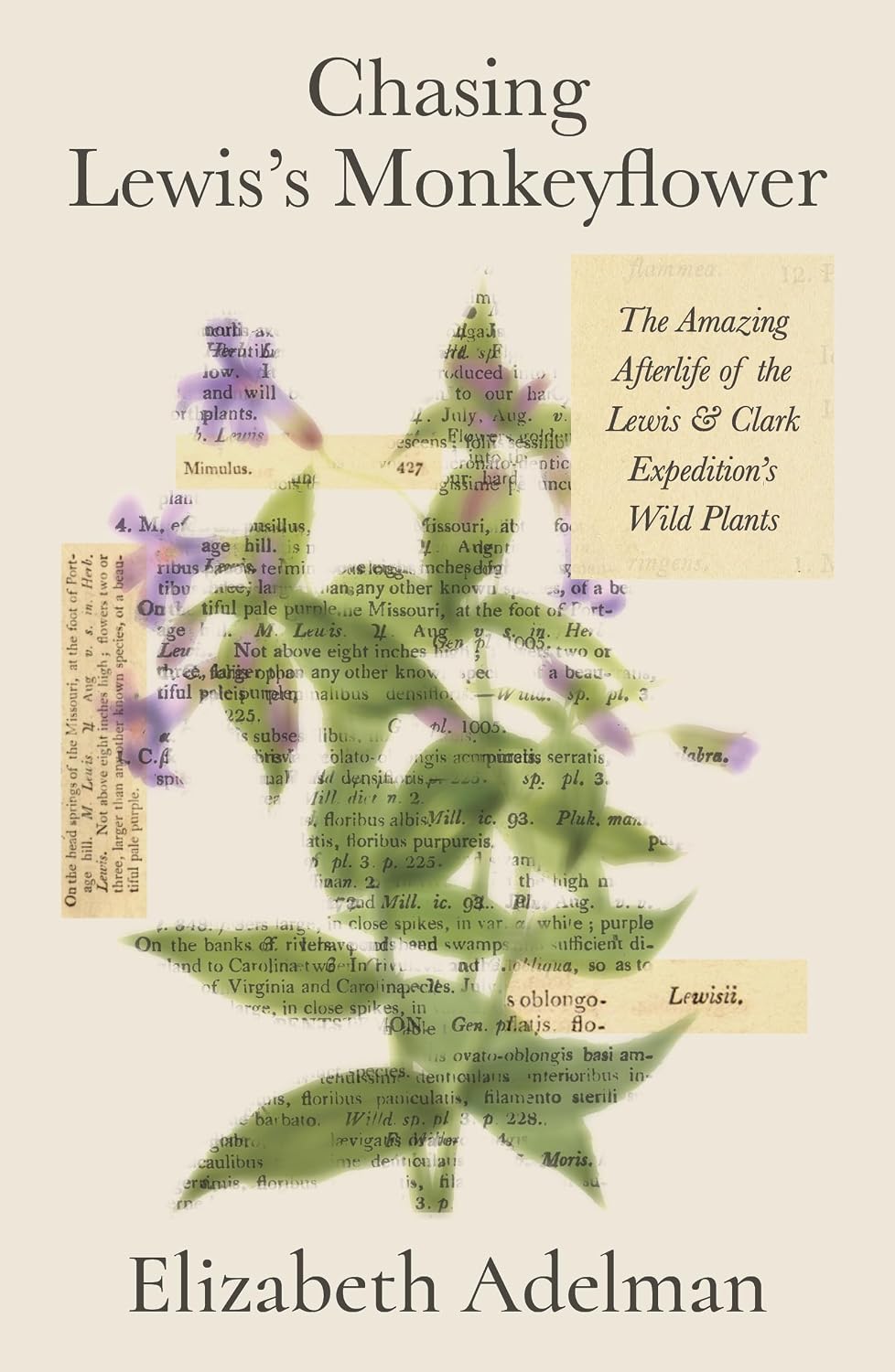 capítulo por capítulo baixar Chasing Lewis's Monkeyflower: The Amazing Afterlife of the Lewis and Clark Expedition's Wild Plants (English Edition)