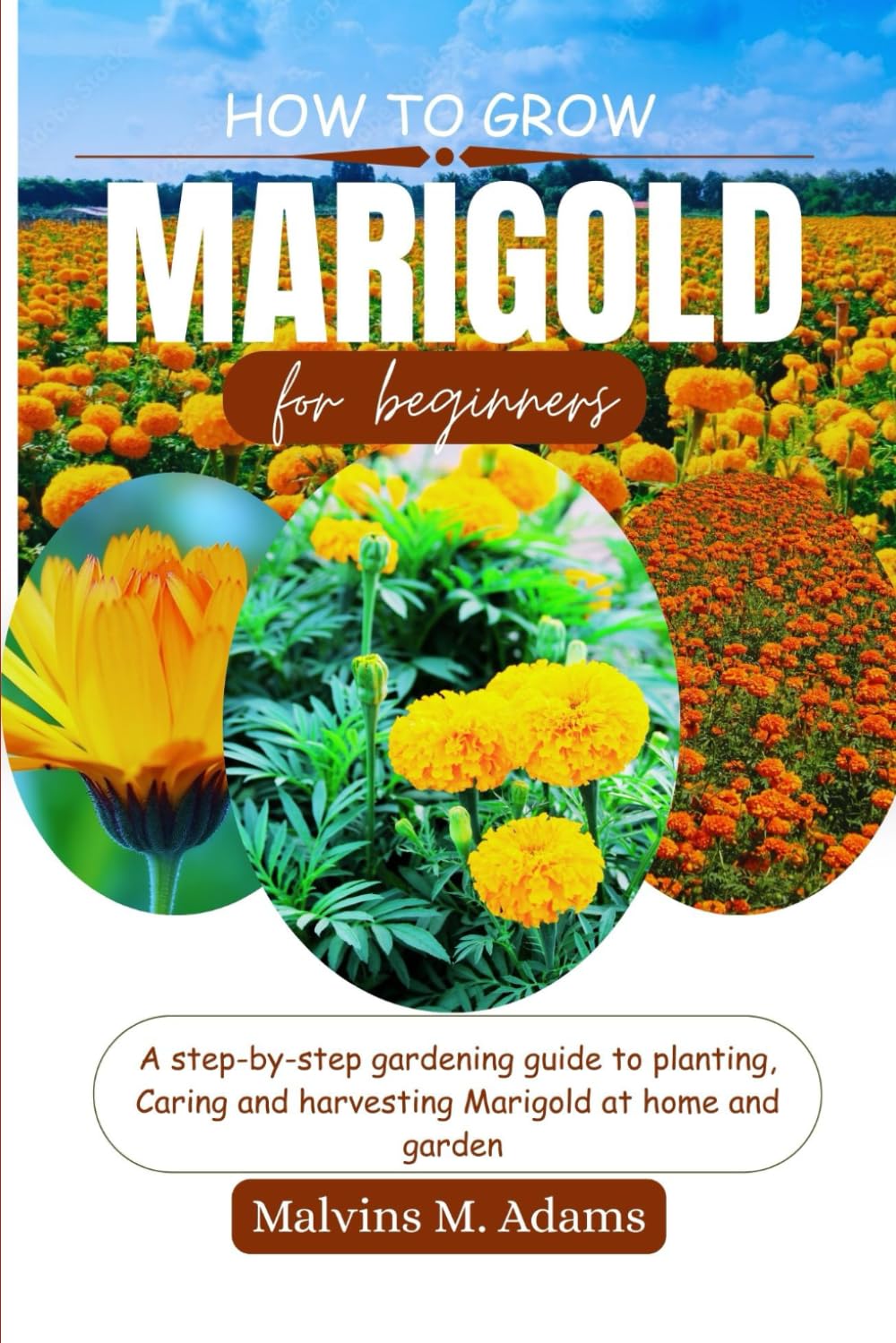 ler totalmente HOW TO GROW MARIGOLD FLOWER: A step by step gardening guide to planting, caring and harvesting marigold at home and garden