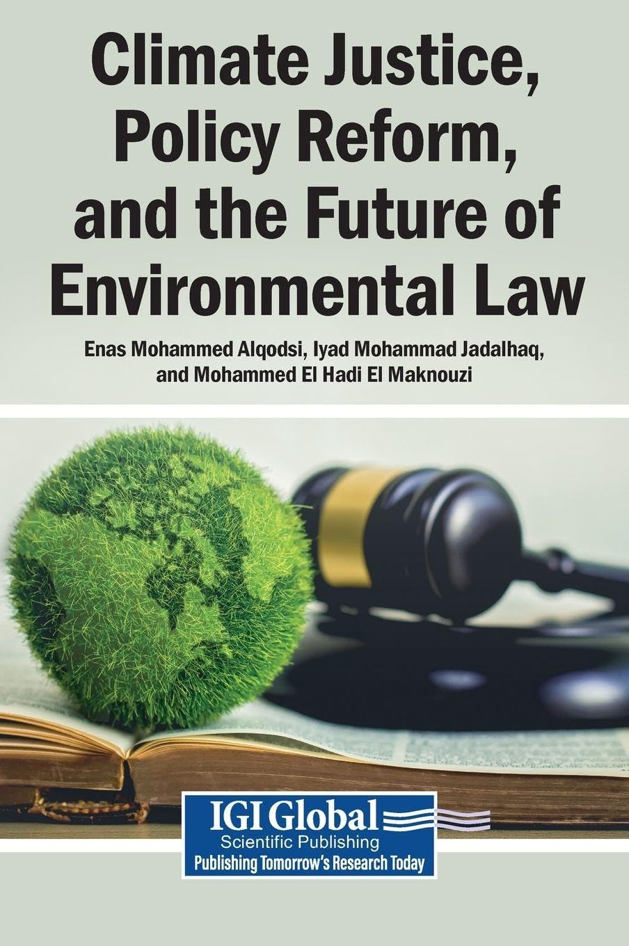 Climate Justice, Policy Reform, and the Future of Environmental Law baixar livro de graça