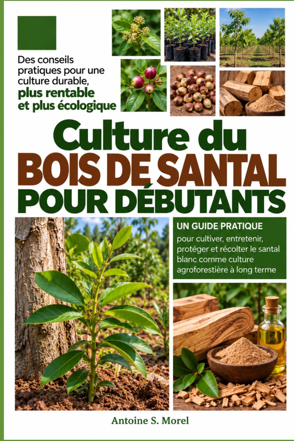 capítulo por capítulo baixar CULTURE DU BOIS DE SANTAL POUR DÉBUTANTS: Un guide pratique pour cultiver, entretenir, protéger et récolter le santal blanc comme culture agroforestière à long terme (French Edition)
