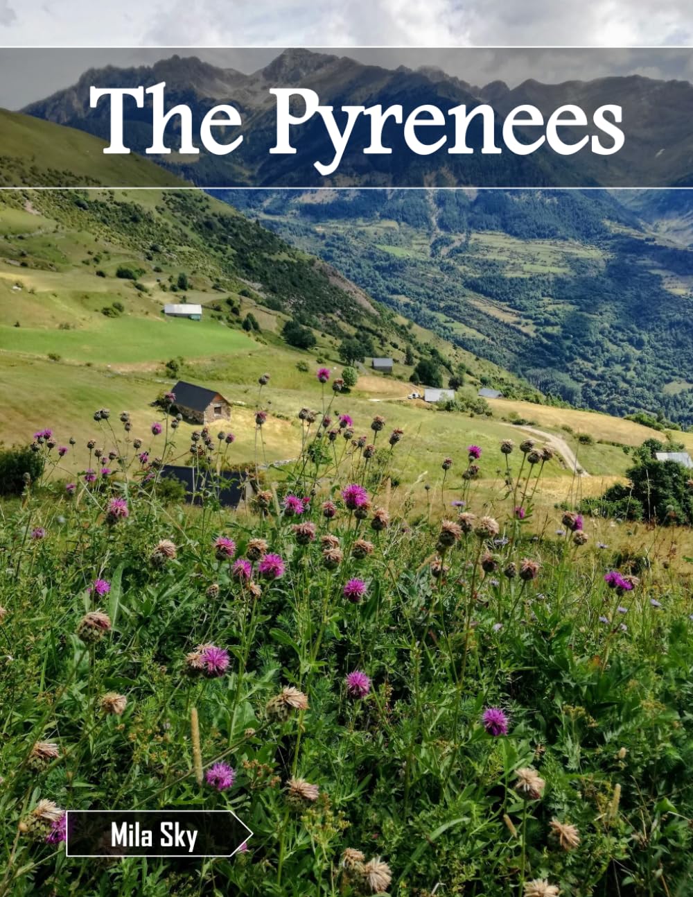 The Pyrenees: A Luxury Coffee Table Book of Iconic Landmarks