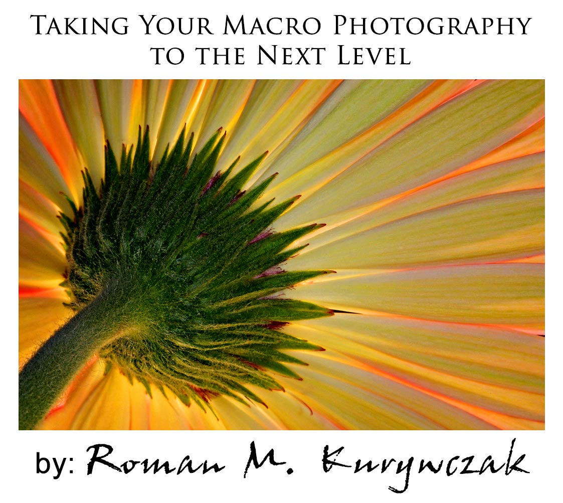 ler totalmente Taking Your Macro Photography to the Next Level (English Edition)