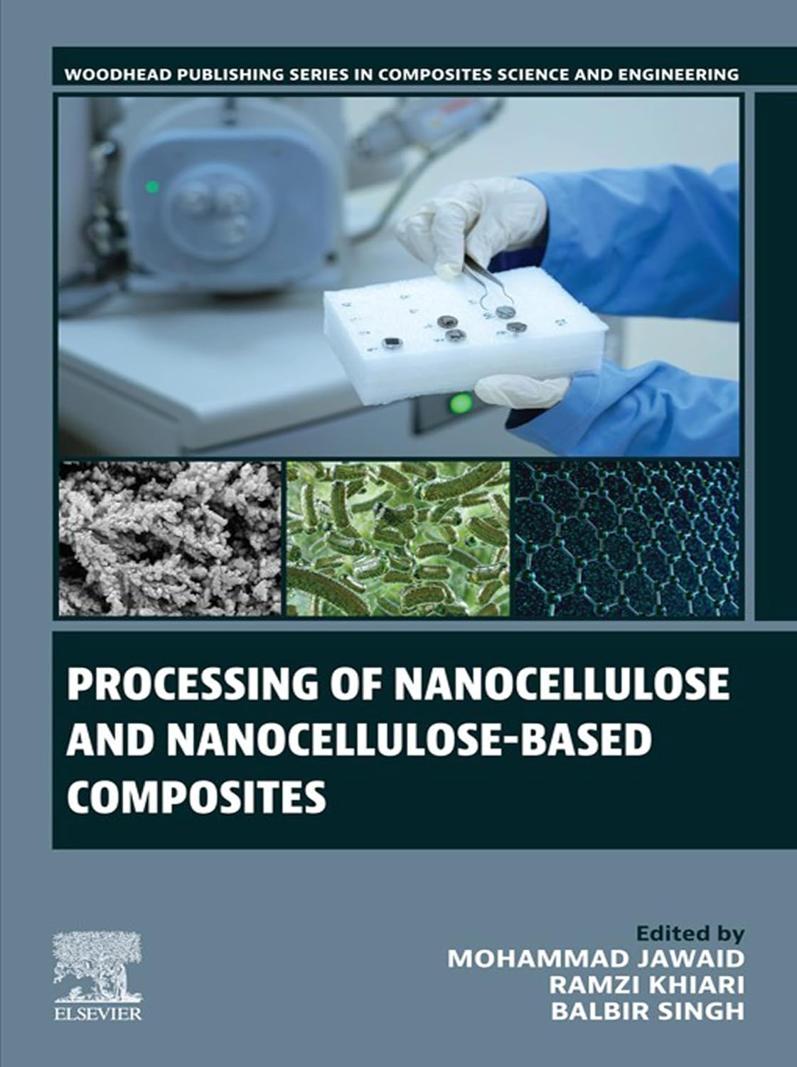 capítulo por capítulo baixar Processing of Nanocellulose and Nanocellulose-Based Composites (Woodhead Publishing Series in Composites Science and Engineering) (English Edition)