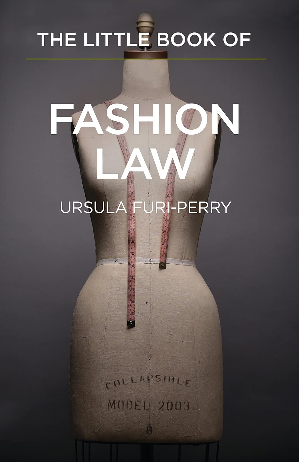 capítulo por capítulo baixar The Little Book of Fashion Law
