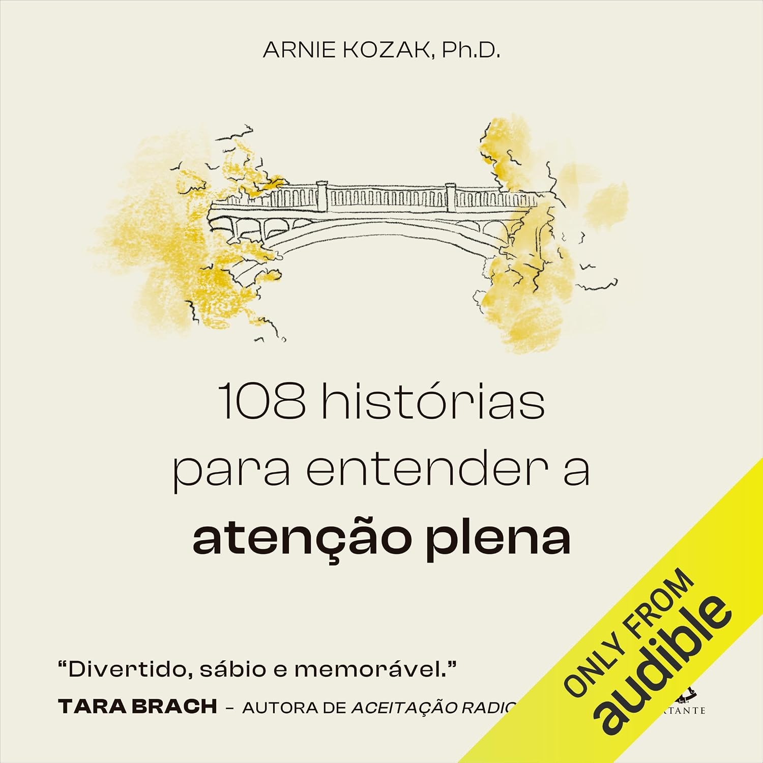 108 histórias para entender a atenção plena baixar o livro de graça