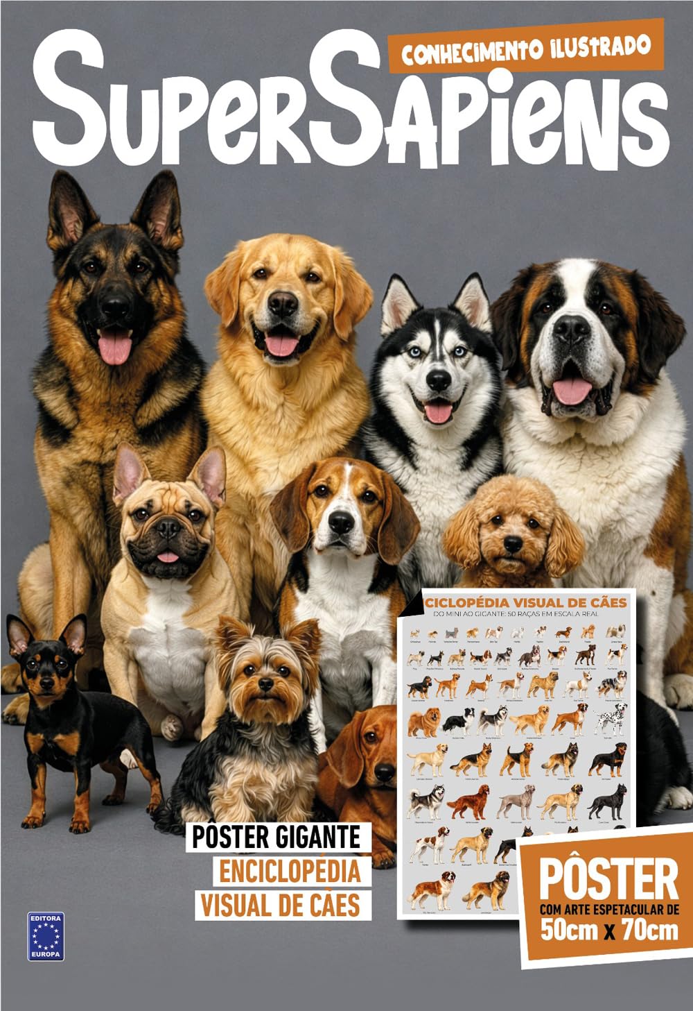 Enciclopédia Visual de Cães (Versão lisa, sem dobras, enviada em tubo protetor) - SuperSapiens Posterzine